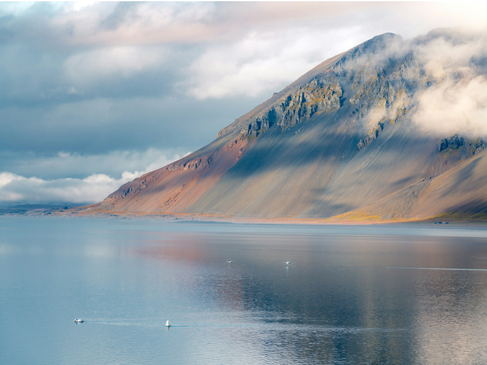 Image de présentation